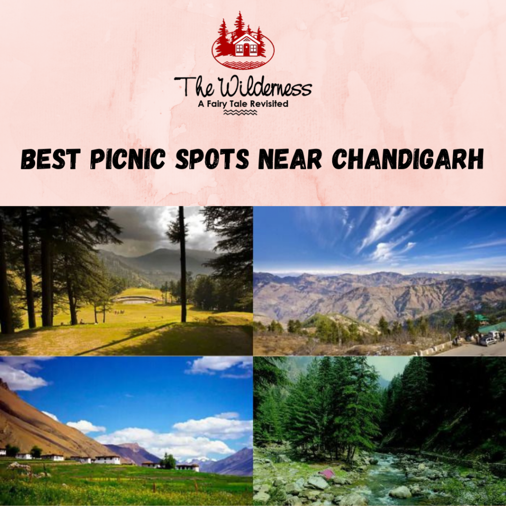 Best Picnic Spots Near Chandigarh